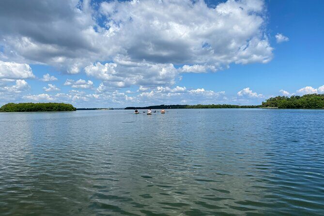 Kayak Adventure at Shell Key Preserve in Tierra Verde - Exploring Shell Key Preserve: What to Expect on the Water