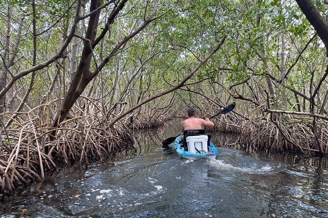 Kayak Adventure at Shell Key Preserve in Tierra Verde - The Itinerary in Detail: What Makes Each Part Special