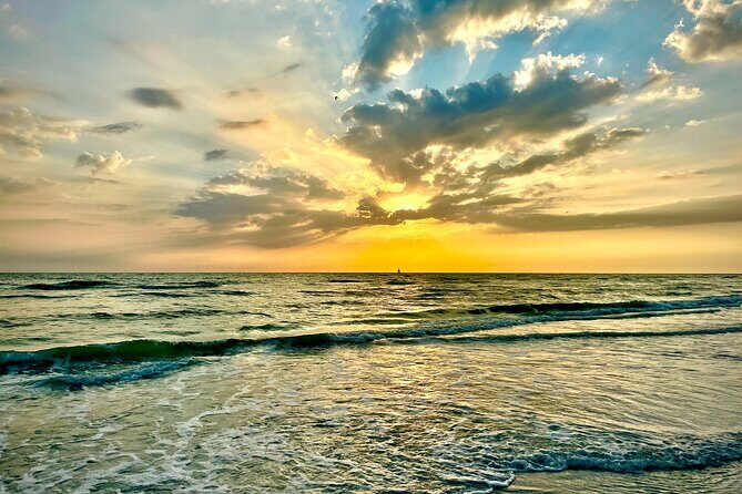 Kayak Adventure at Shell Key Preserve in Tierra Verde - What Travelers Say (Based on reviews)