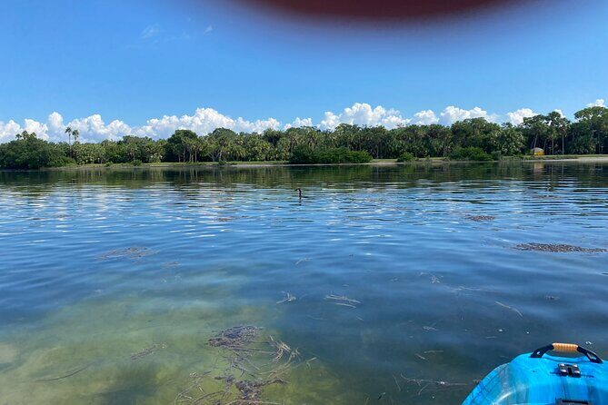 Kayak Adventure at Shell Key Preserve in Tierra Verde - Analyzing Value: Is It Worth It?