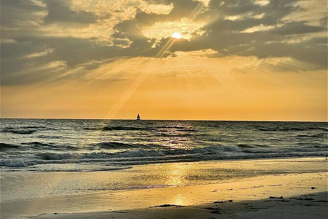 Kayak Adventure at Shell Key Preserve in Tierra Verde - Who Is This Tour Best For?