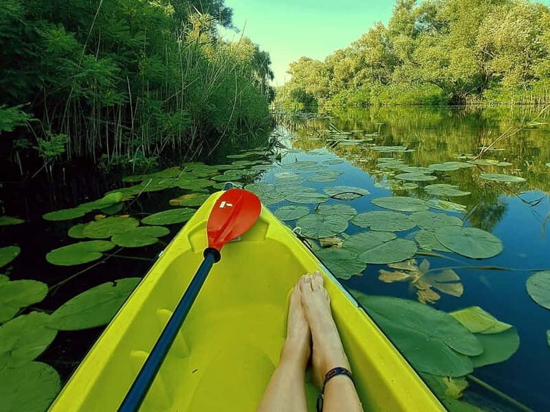 Kayak Adventure: Paddle your way through Lake Skadar - Key Points