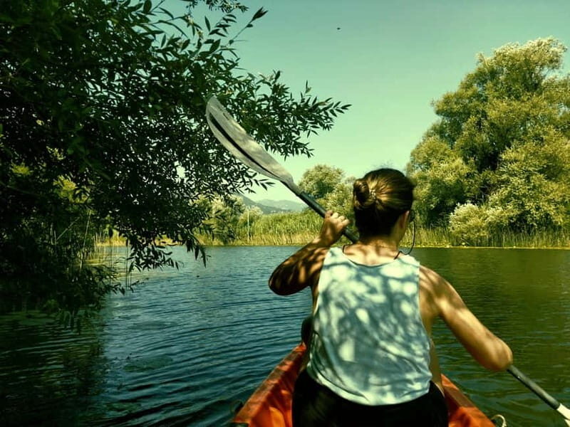 Kayak Adventure: Paddle your way through Lake Skadar - An In-Depth Look at the Kayak Tour