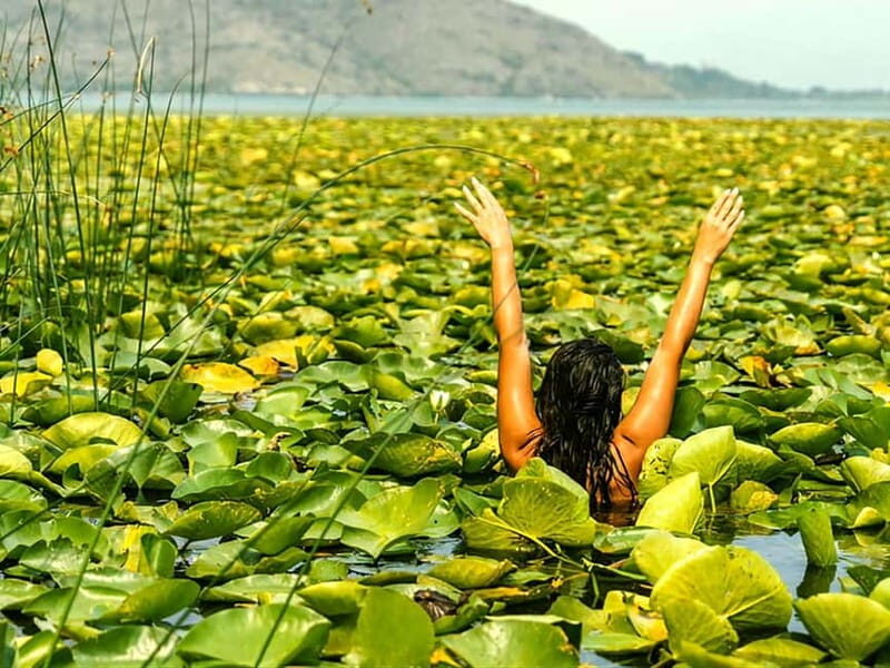 Kayak Adventure: Paddle your way through Lake Skadar - Frequently Asked Questions