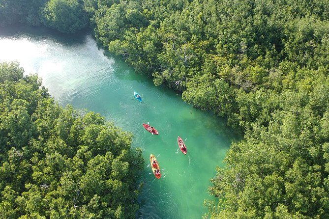 Kayak adventure through Laguna Nichupté in Cancun - Experience Overview: A Deep Dive into Laguna Nichupté
