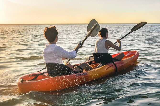 Kayak adventure through Laguna Nichupté in Cancun - The Sum Up: Who Should Consider This Kayak Adventure?