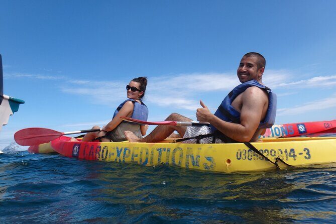 Kayak and Snorkel Discovery Tour in Los Cabos - Some Practical Considerations