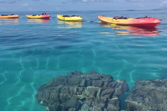 Kayak and Snorkel: Maui West Shore - Marine Life Encounters