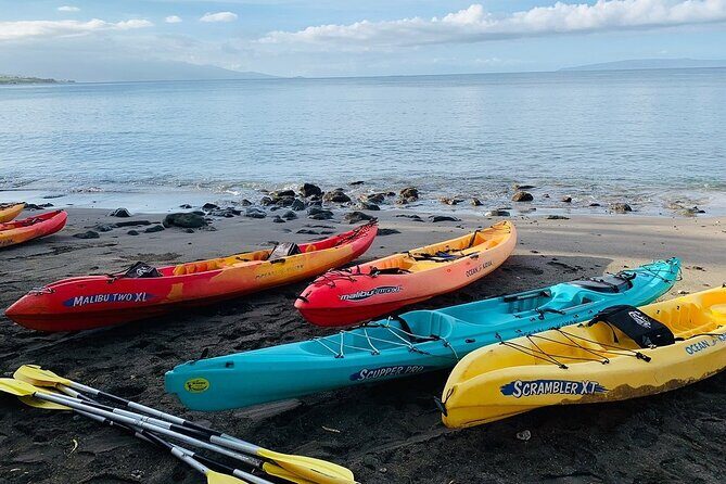 Kayak and Snorkel: Maui West Shore - Final Thoughts