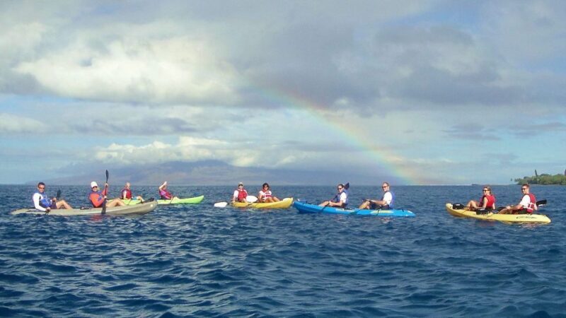 Kayak and Snorkel West Maui at Olowalu - An Overview of the Experience