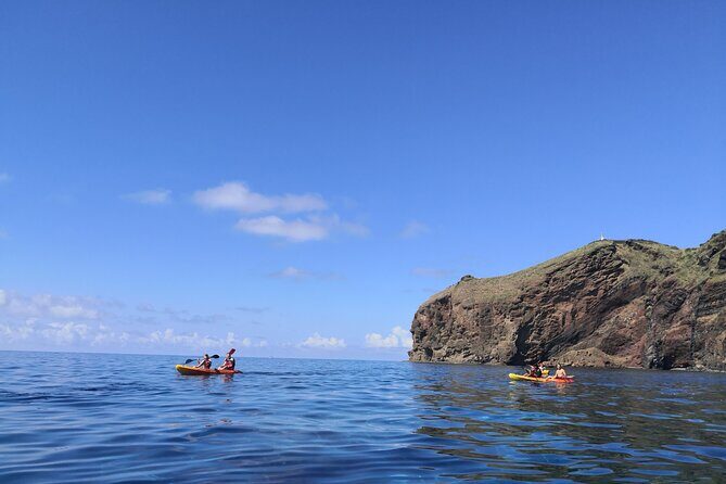 Kayak and Snorkeling Tour in Underwater Nature Reserve Garajau - The Cost and Value