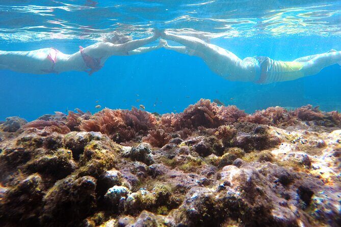 Kayak and Snorkeling Tour in Underwater Nature Reserve Garajau - FAQ
