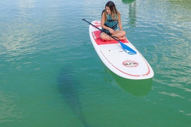 Kayak and SUP Rentals - Big Hickory Island - Fort Myers Beach, FL - Key Points
