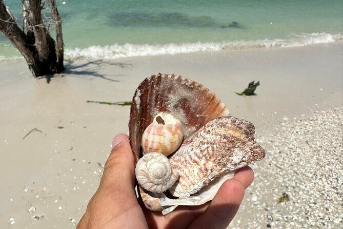 Kayak and SUP Rentals - Big Hickory Island - Fort Myers Beach, FL - Practical Details and Tips