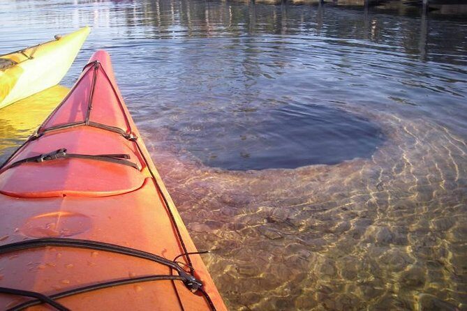 Kayak Day Paddle on Yellowstone Lake - Exploring Yellowstone Lake by Kayak: What to Expect