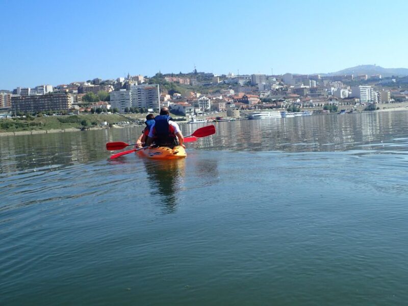 Kayak - Douro Valley - A Gentle Paddle with Stunning Views