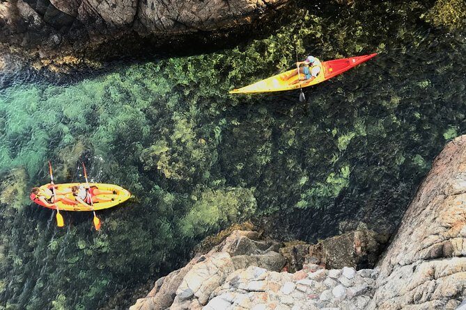 Kayak excursion in Playa de Aro - The Value and Pricing