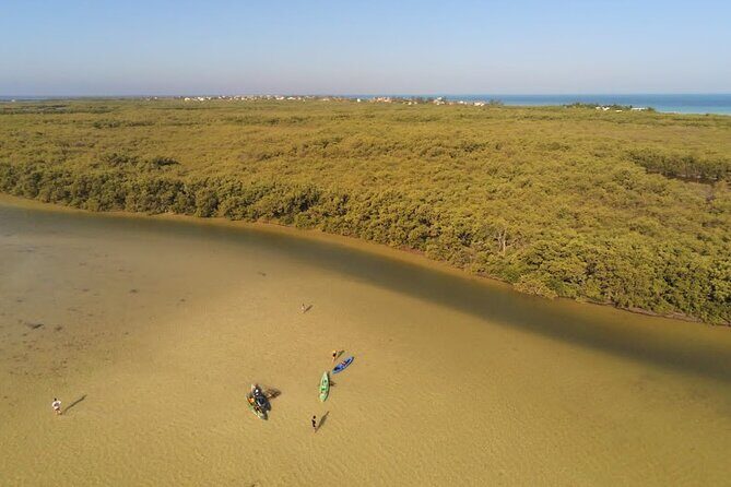 Kayak Experience in the Mangroves of Holbox Island - The Itinerary: What to Expect