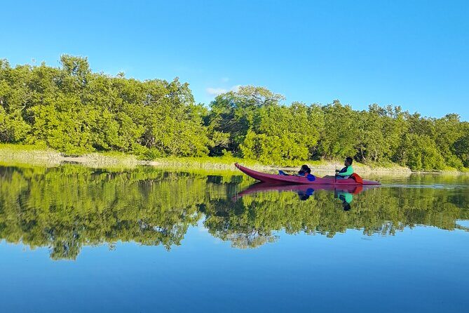 Kayak Experience in the Mangroves of Holbox Island - Practical Details and Considerations