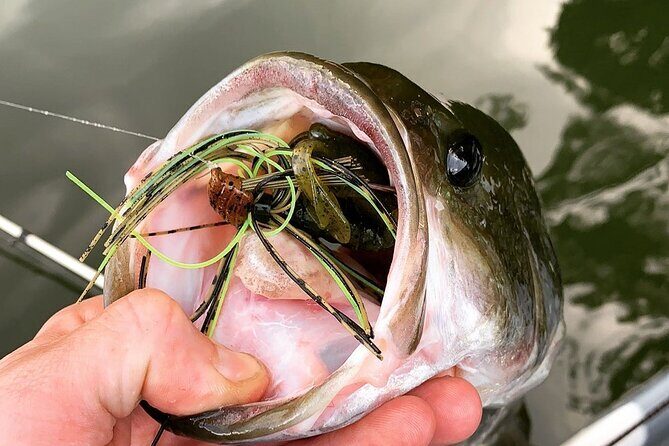 Kayak fishing guides and scenic paddle tours - Who Is This Tour Best For?