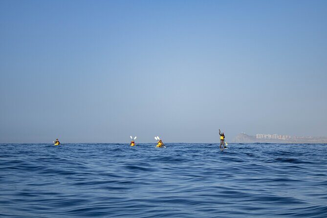 Kayak from Viudas Beach to Chileno Bay & Snorkel + Beach Time - Who Will Love This Tour?