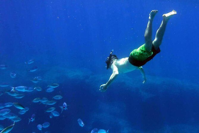 Kayak Gozo and Comino Guided Kayak Adventure - What the Tour Is All About