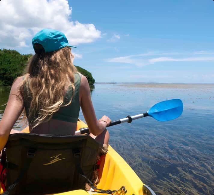 Kayak + Guided Snorkel & Morning Sail - Key Points