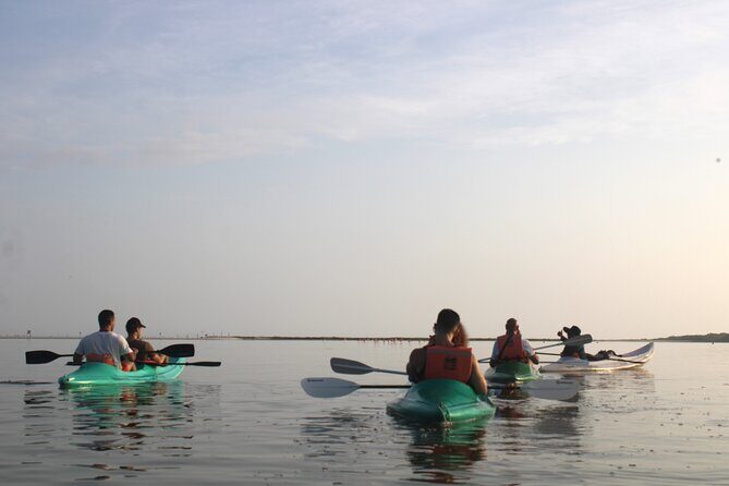 Kayak Mangroves Sunrise Experience - The Setup: What to Expect Before the Tour