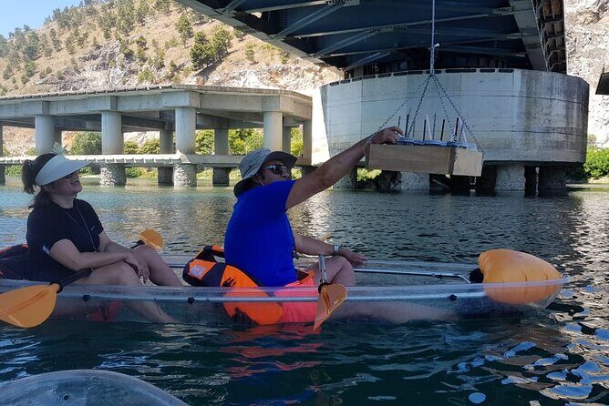 Kayak or Stand Up Paddle in Shkodra Lake and Buna River - Who Should Consider This Tour?