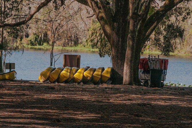 Kayak Rental (2hr) - Blue Spring State Park - Practical Details: Planning Your Paddle