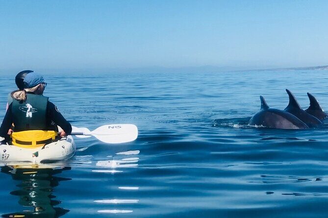 Kayak Rental for Two People in La Jolla - FAQs