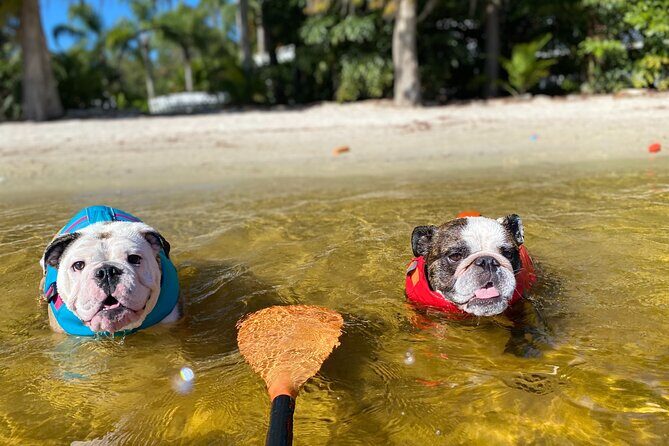 Kayak Rental from Lake Buena Vista Area - Why This Experience Stands Out