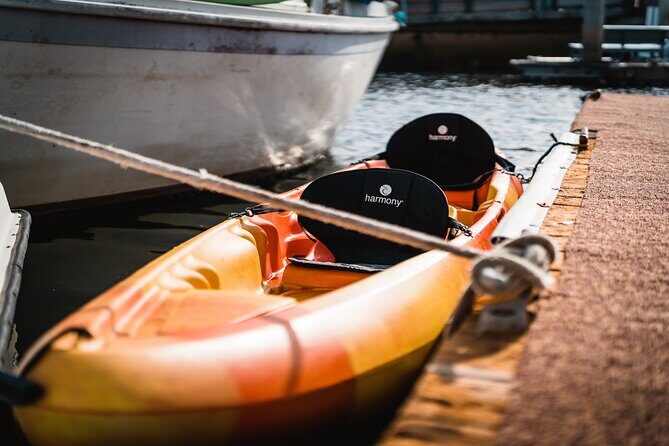 Kayak Rental in Redondo Beach, USA - Key Points