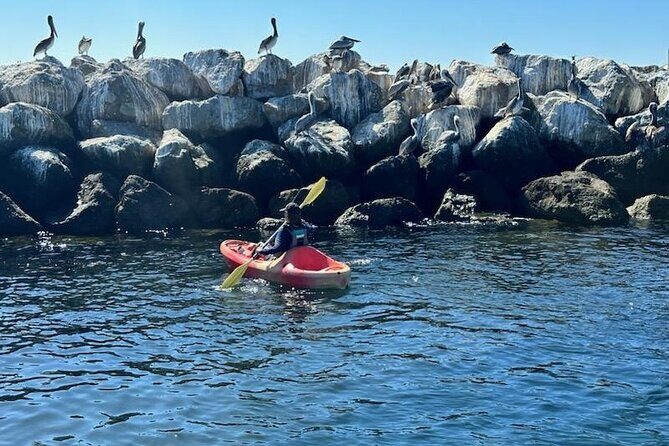 Kayak Rental in Redondo Beach, USA - FAQ