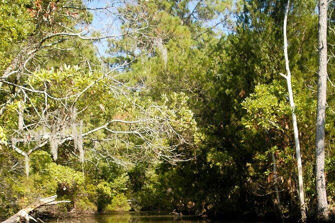 Kayak Rental on the Outer Banks - Key Points