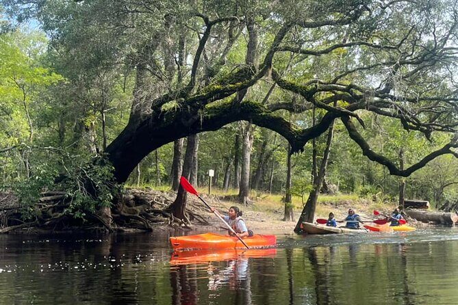 Kayak Rental on the Waccamaw River - What You Can Expect During the Tour