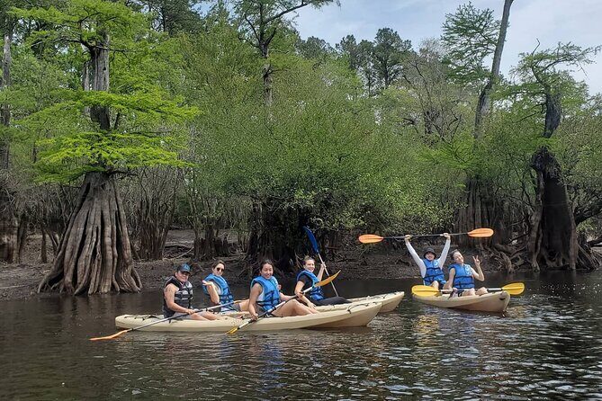 Kayak Rental on the Waccamaw River - Who Will Love This Tour?