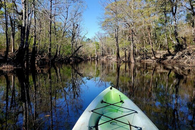 Kayak Rental on the Waccamaw River - The Sum Up