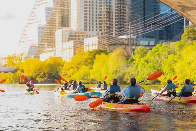 Kayak Rentals on Lady Bird Lake - Exploring Lady Bird Lake: What to Expect