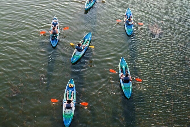 Kayak Rentals on Lady Bird Lake - Practical Tips and Considerations