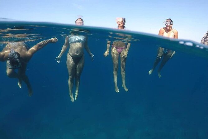 Kayak Safari with Dolphin and Turtle Watching in Guaza - Final Thoughts