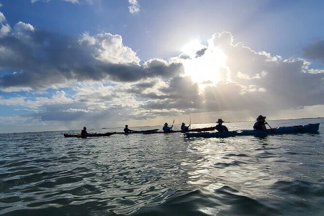 Kayak Sian Kaan Experience - A Detailed Look at the Kayak Sian Kaan Experience