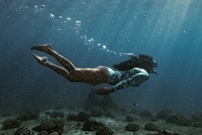 Kayak, Snorkel, and Surf with Turtles in Honolulu - Who Should Consider This Tour?