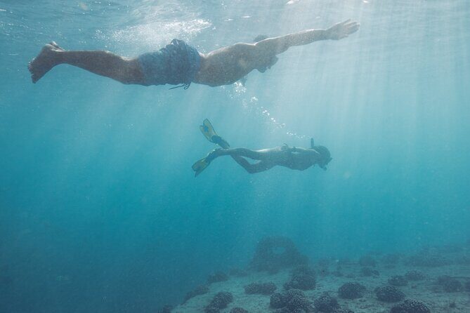 Kayak, Snorkel, and Surf with Turtles in Honolulu - Frequently Asked Questions