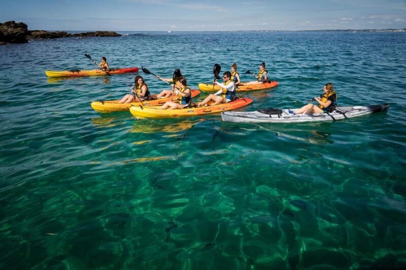 KAYAK & SNORKEL in Hondarribia - The Route: From Beach to Island and Beyond