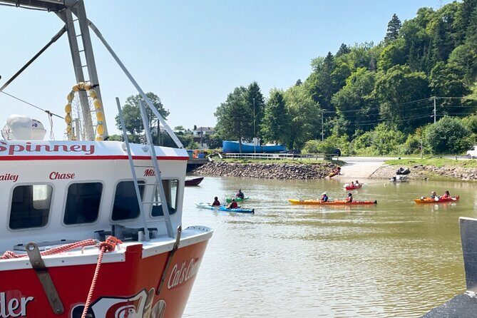 Kayak the Bay of Fundy Sea Caves - Exploring the Kayak the Bay of Fundy Sea Caves Tour