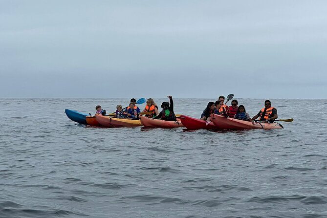 Kayak The Jacket and Flea market Private Tour - Key Points