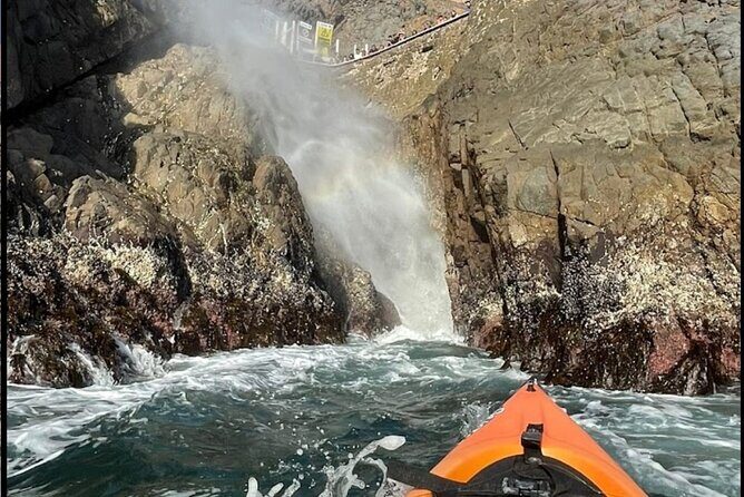 Kayak The Jacket and Flea market Private Tour - FAQs