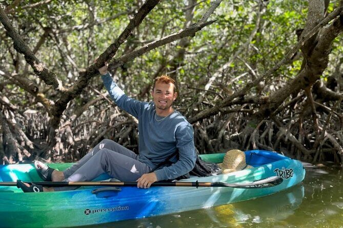 Kayak through Mangrove Forests in the Florida Keys - Why This Tour Stands Out