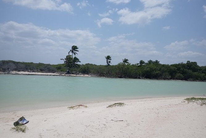 kayak through mangroves to secret beach - Frequently Asked Questions